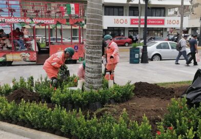 Reforestan Nuevo Mercado  de Artesanías de la Ciudad de Veracruz.