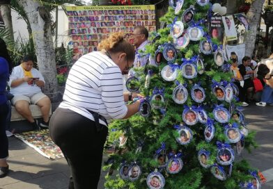 Colocan en el Zócalo de Veracruz el Pino del Dolor.