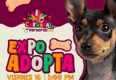 Corte Real del Carnaval de Veracruz 2026 participará en la Expo Adopta