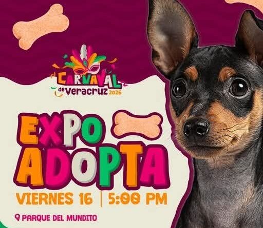 Corte Real del Carnaval de Veracruz 2026 participará en la Expo Adopta