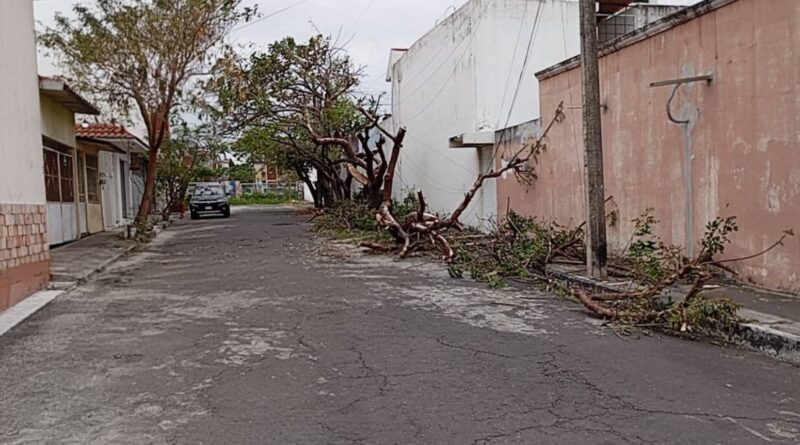 Reporta Ayuntamiento de Veracruz saldo blanco tras paso del Frente Frío 37.