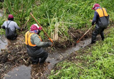 Mantiene Ayuntamiento de Veracruz programa preventivo de limpieza de canales .