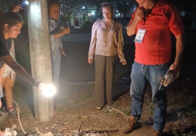 Atiende Ayuntamiento de Veracruz denuncia por presunta crueldad animal en Palma I Ruba.