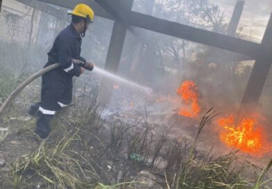 Atiende PC Municipal de Veracruz 15 servicios tras afectaciones por viento del norte.