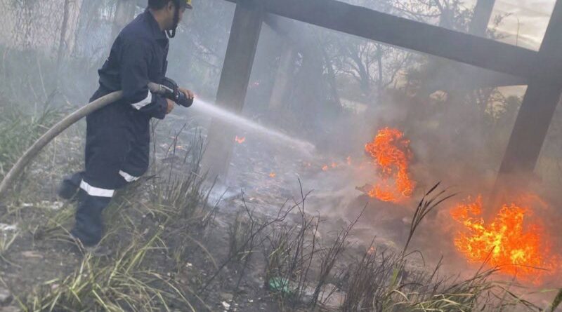 Atiende PC Municipal de Veracruz 15 servicios tras afectaciones por viento del norte.