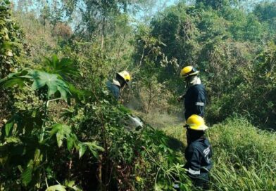 Prevé PC municipal surada con rachas de 40 km/h para este viernes en la ciudad de Veracruz. Prevé PC municipal surada con rachas de 40 km/h para este viernes en la ciudad de Veracruz.