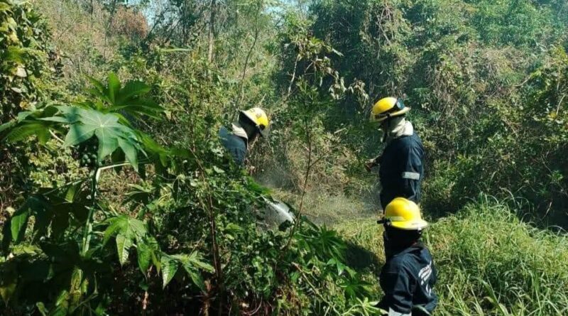 Prevé PC municipal surada con rachas de 40 km/h para este viernes en la ciudad de Veracruz. Prevé PC municipal surada con rachas de 40 km/h para este viernes en la ciudad de Veracruz.