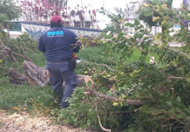 Boca del Río atiende reportes por Frente Frío 41 y se mantiene en alerta permanente: Alcaldesa Maryjose Gamboa.