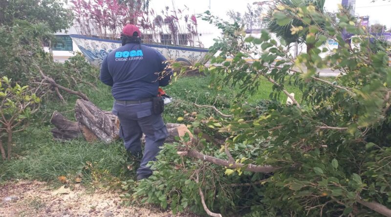 Boca del Río atiende reportes por Frente Frío 41 y se mantiene en alerta permanente: Alcaldesa Maryjose Gamboa.