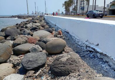 Embellece Ayuntamiento de Veracruz el bulevar Ávila Camacho.