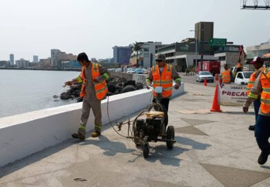 Embellece Ayuntamiento de Veracruz el bulevar Ávila Camacho.