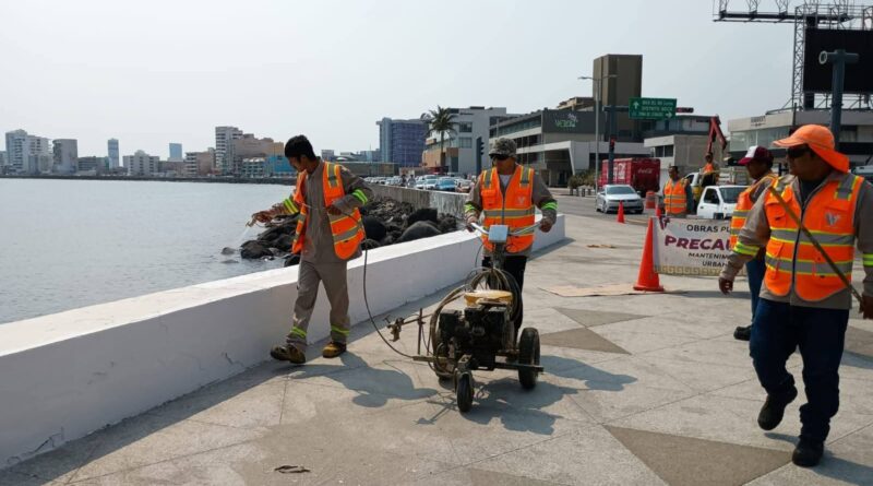 Embellece Ayuntamiento de Veracruz el bulevar Ávila Camacho.