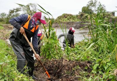 Intensifica Ayuntamiento de Veracruz acciones de limpieza de canales y mantenimiento vial para mejorar el entorno urbano.