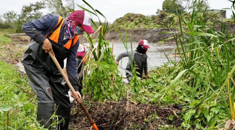 Intensifica Ayuntamiento de Veracruz acciones de limpieza de canales y mantenimiento vial para mejorar el entorno urbano.