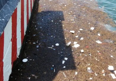 Zona del Malecón requiere de limpieza.. 