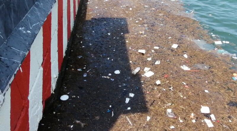 Zona del Malecón requiere de limpieza.. 