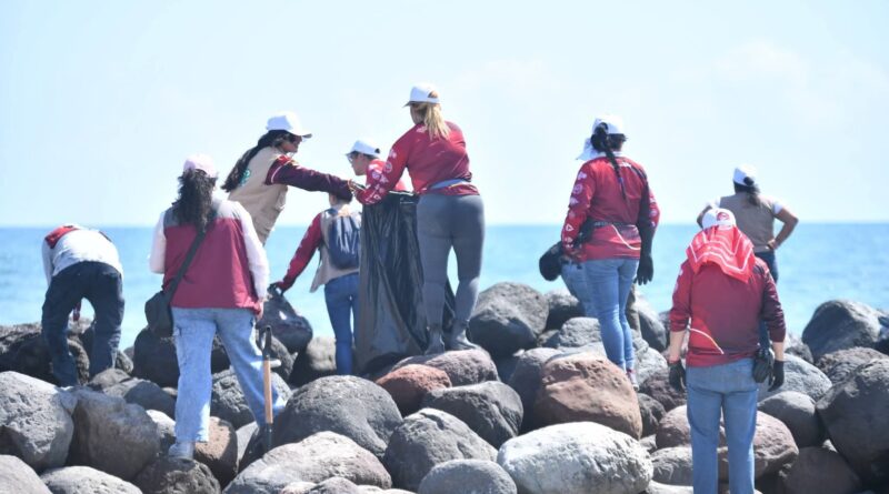 Limpian playa Mocambo, Sedema encabeza brigada .