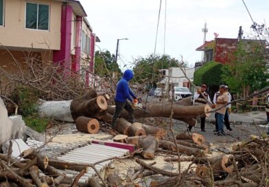 Reporta PC saldo blanco en Ciudad de Veracruz; rachas registraron récord histórico.