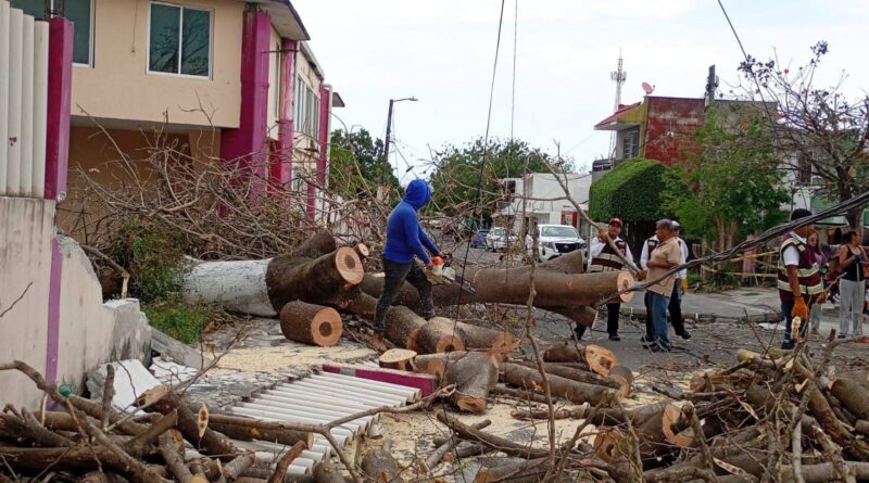 Reporta PC saldo blanco en Ciudad de Veracruz; rachas registraron récord histórico.