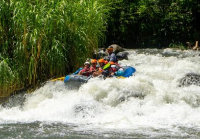 Semana Santa se vive mejor en Veracruz, el estado que está de moda.