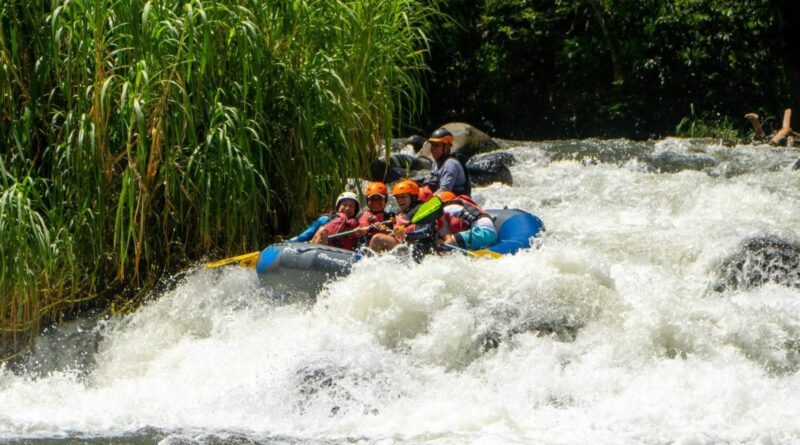 Semana Santa se vive mejor en Veracruz, el estado que está de moda.