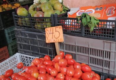 Hasta 45 pesos kilo de tomate en zonas de mercados de Veracruz. 