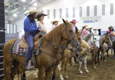 Veracruz, punto de reintroducción del caballo en América del Norte.