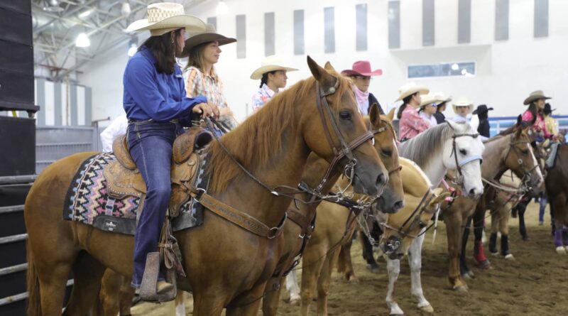 Veracruz, punto de reintroducción del caballo en América del Norte.