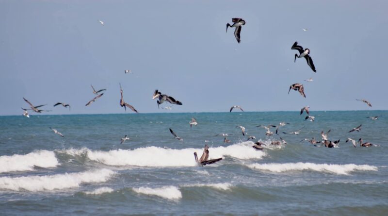 Veracruz cierra Semana Santa con ocupación hotelera de hasta 88.61%.