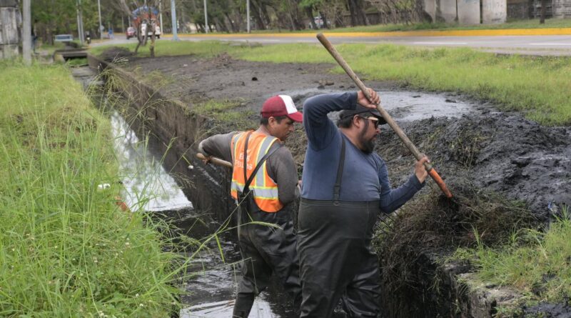 Refuerza Ayuntamiento de Veracruz acciones preventivas ante la temporada de lluvias. Refuerza Ayuntamiento de Veracruz acciones preventivas ante la temporada de lluvias.