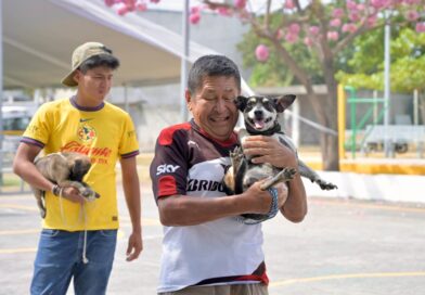 Refuerza Ayuntamiento de Veracruz salud pública con vacunación antirrábica en la ciudad.