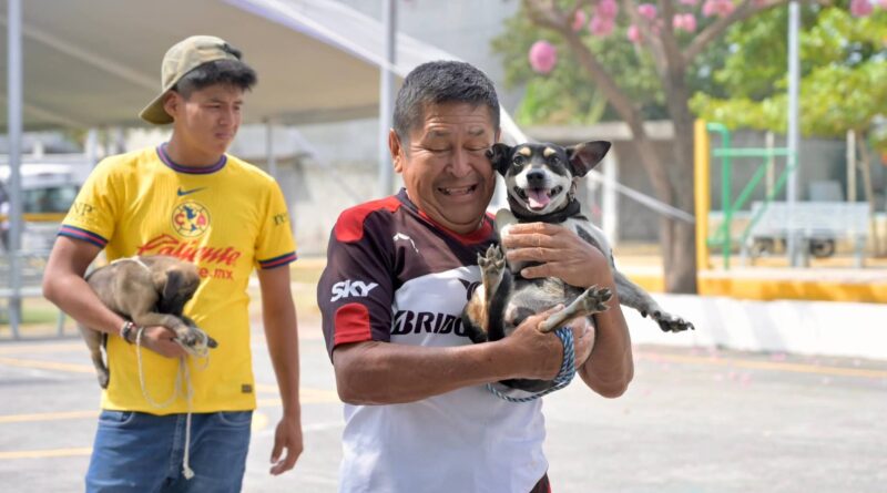 Refuerza Ayuntamiento de Veracruz salud pública con vacunación antirrábica en la ciudad.