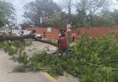 Saldo blanco y afectaciones menores en la ciudad de Veracruz por frente frío 48.