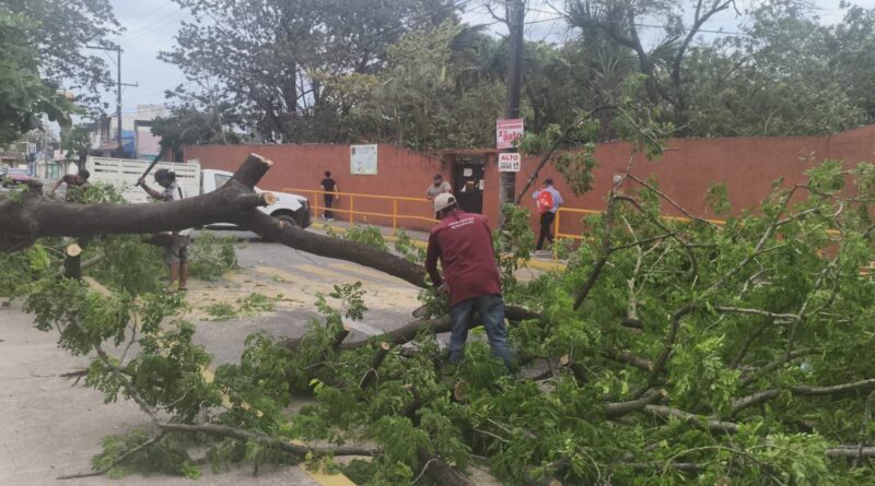 Saldo blanco y afectaciones menores en la ciudad de Veracruz por frente frío 48.