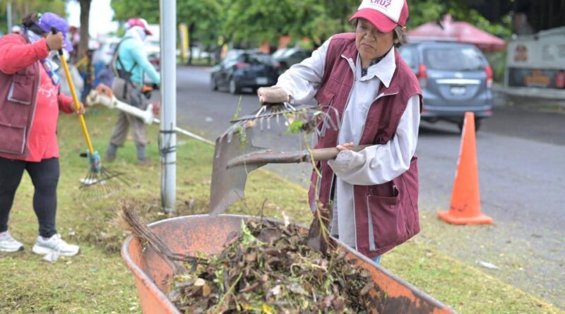 Recupera Ayuntamiento de Veracruz más de 160 espacios públicos con jornadas permanentes de mantenimiento.