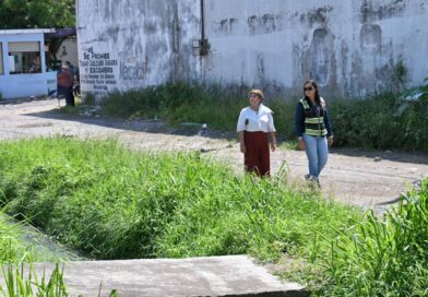 Intensifica Ayuntamiento de Veracruz trabajos de limpieza y desazolve ante temporada de lluvias.