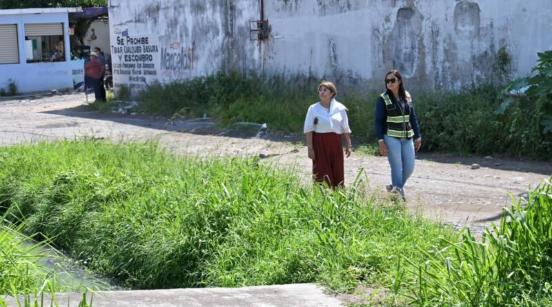 Intensifica Ayuntamiento de Veracruz trabajos de limpieza y desazolve ante temporada de lluvias.