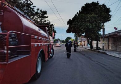Atienden Bomberos municipales de Veracruz ataque de abejas; solicitan apoyo para localizar a familiares de un lesionado.