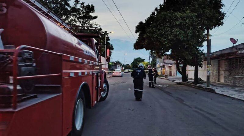Atienden Bomberos municipales de Veracruz ataque de abejas; solicitan apoyo para localizar a familiares de un lesionado.