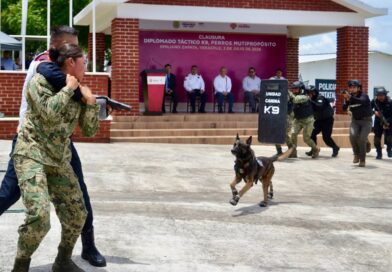 Veracruz referente nacional en capacitación K9, concluye 5.° diplomado táctico especializado.