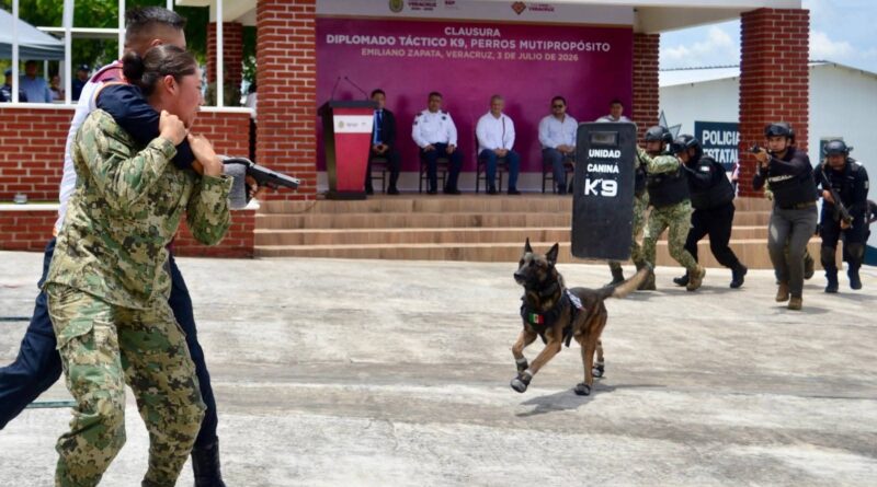 Veracruz referente nacional en capacitación K9, concluye 5.° diplomado táctico especializado.