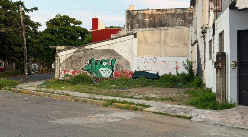 Refuerza Ayuntamiento de Veracruz acciones para mejorar la imagen y el orden de la ciudad.