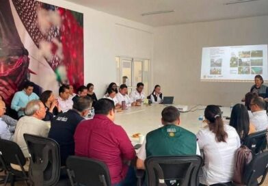 Veracruz suma esfuerzos para prevenir enfermedades transmitidas por vector. 