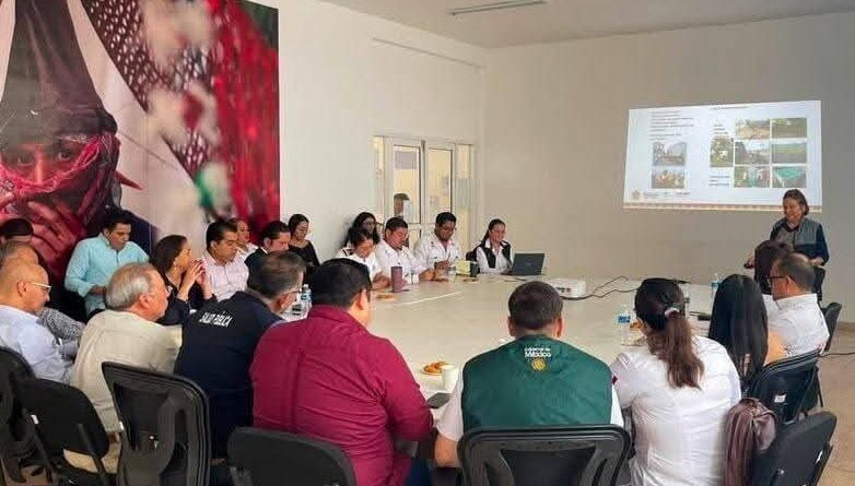 Veracruz suma esfuerzos para prevenir enfermedades transmitidas por vector. 