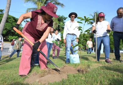 Con 20 mil árboles sembrados, refrenda Rosa María compromiso ambiental durante Jornada Nacional de Reforestación 2026.