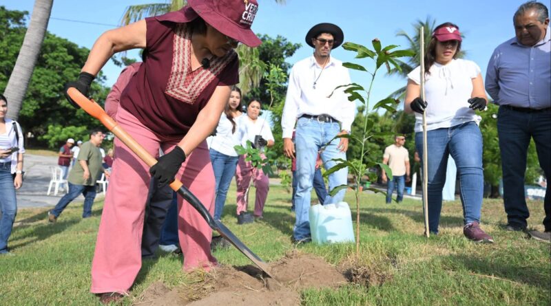 Con 20 mil árboles sembrados, refrenda Rosa María compromiso ambiental durante Jornada Nacional de Reforestación 2026.