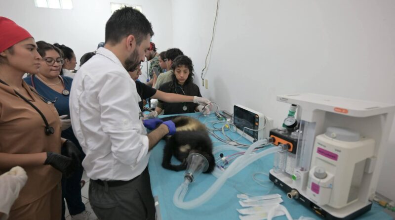 Fortalece Ayuntamiento de Veracruz el cuidado de los animales del Parque Miguel Ángel de Quevedo. Fortalece Ayuntamiento de Veracruz el cuidado de los animales del Parque Miguel Ángel de Quevedo.