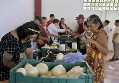 *Impulsa Rosa María la economía y el desarrollo de la zona rural en la ciudad de Veracruz*