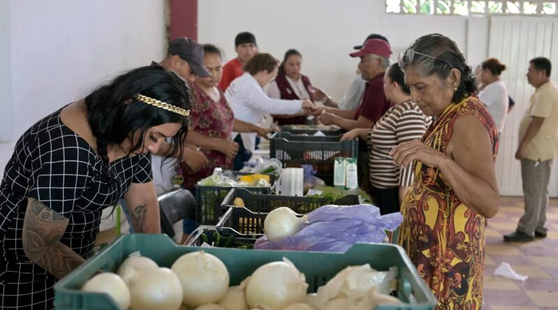 *Impulsa Rosa María la economía y el desarrollo de la zona rural en la ciudad de Veracruz*