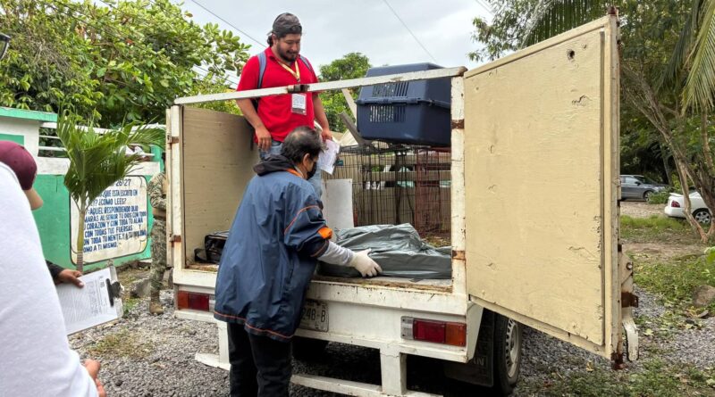 *Atiende Ayuntamiento de Veracruz caso de agresión con arma de fuego a canino*